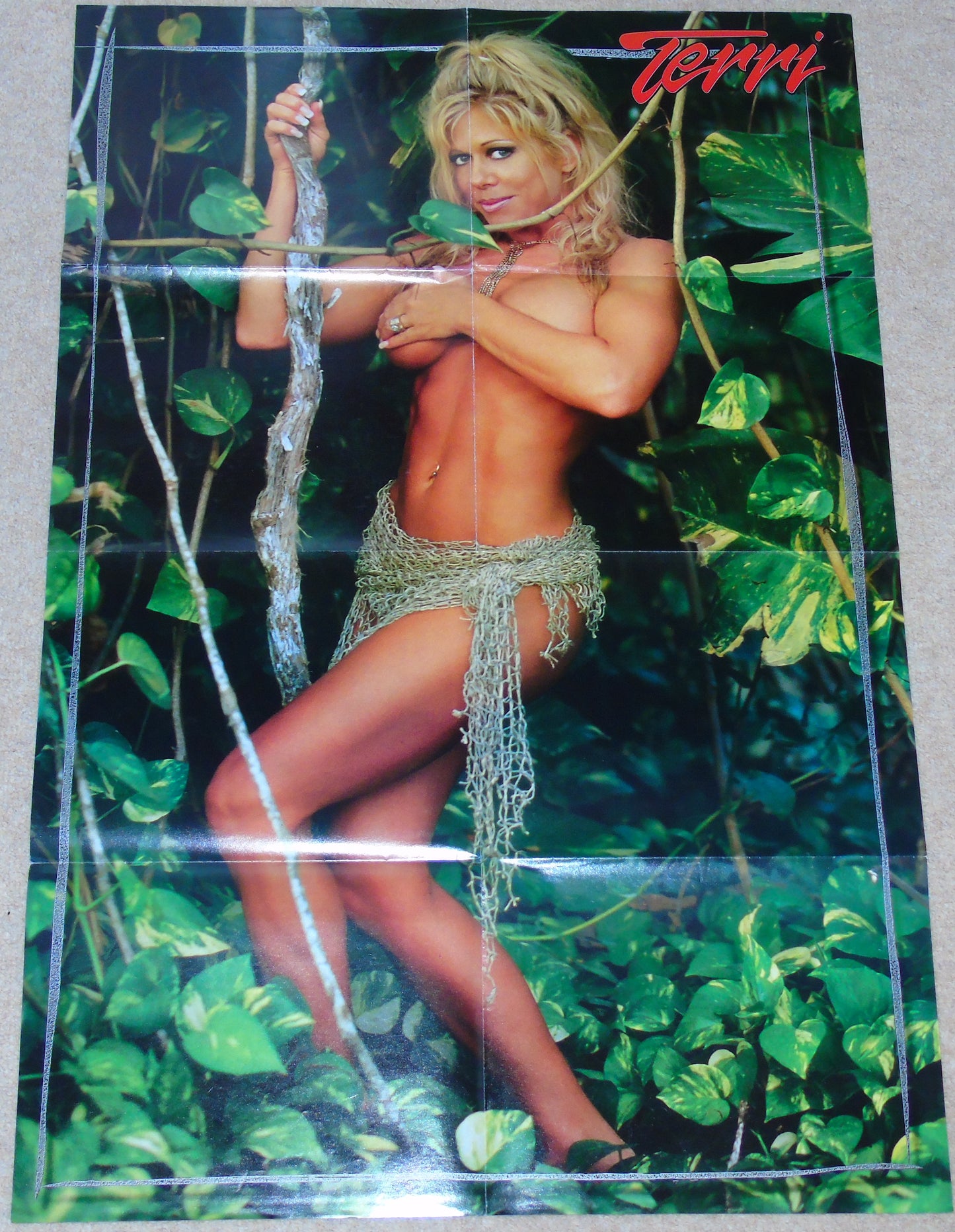 Edge & Christian and Terri Runnels Official WWF WWE Raw Wrestling Magazine Poster
