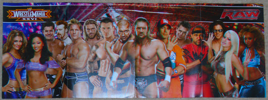 WWE Raw Smackdown Wrestlemania XXVI Wrestling 3D Poster