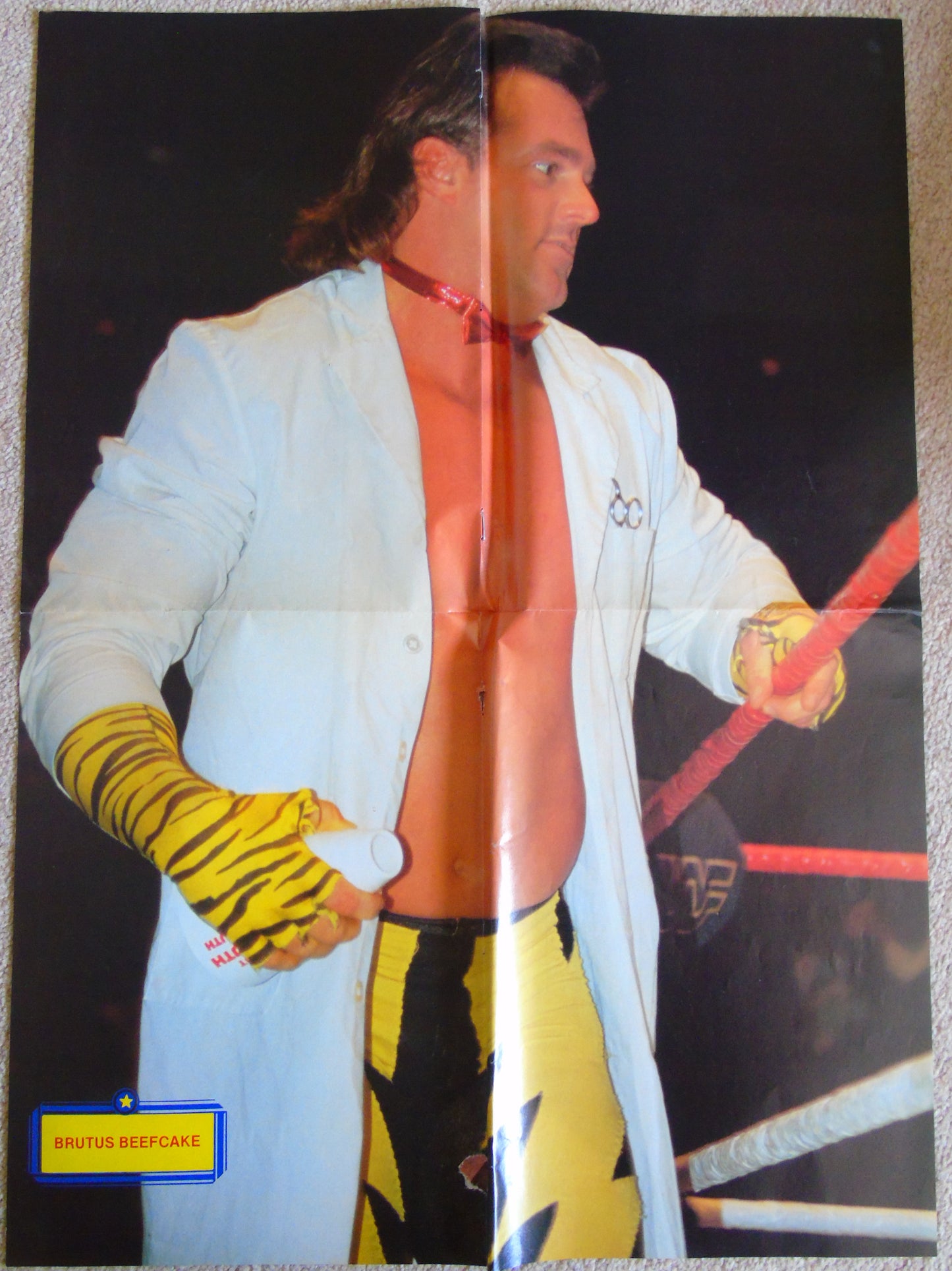Wrestling All Stars 1989 Poster Special Magazine Issue 14