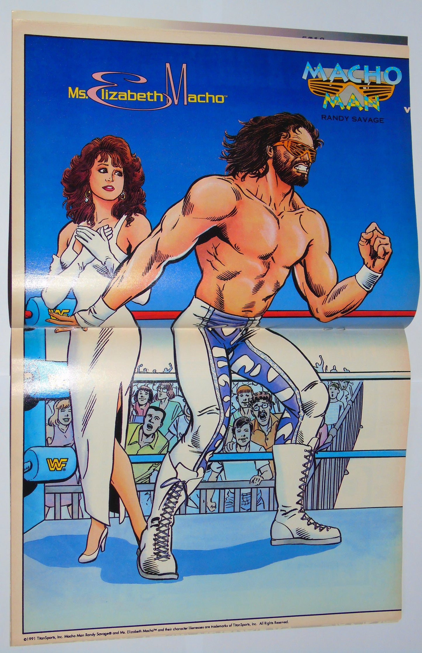 WWF Wrestling Battlemania Comic Complete Set Issues 1-5 All Complete With Posters