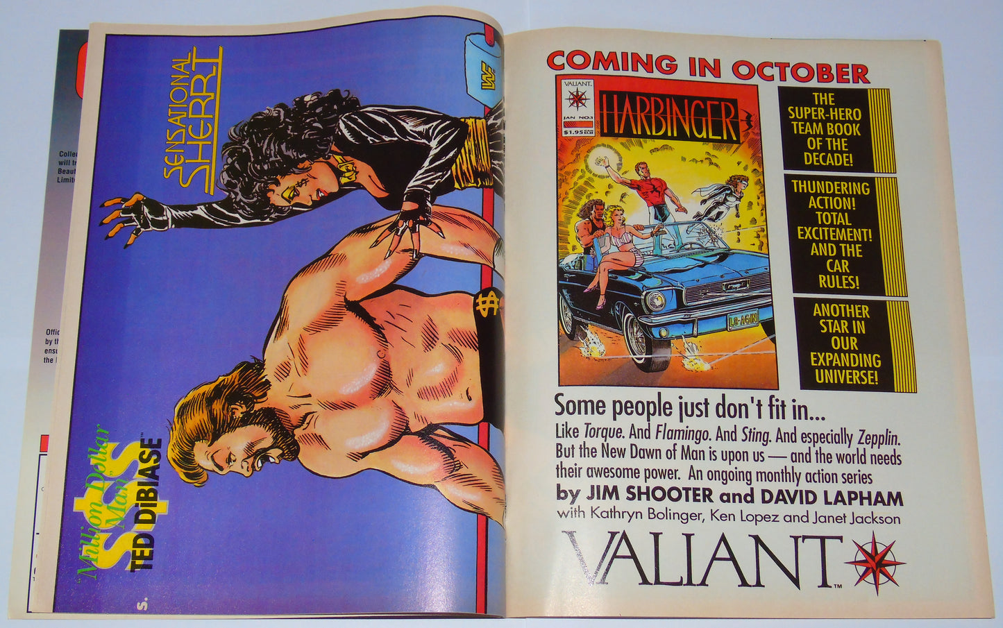 WWF Wrestling Battlemania Comic Complete Set Issues 1-5 All Complete With Posters