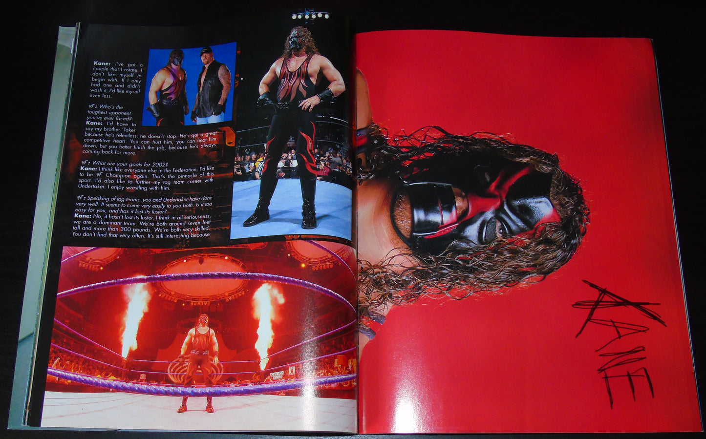 WWF Magazine January 2002