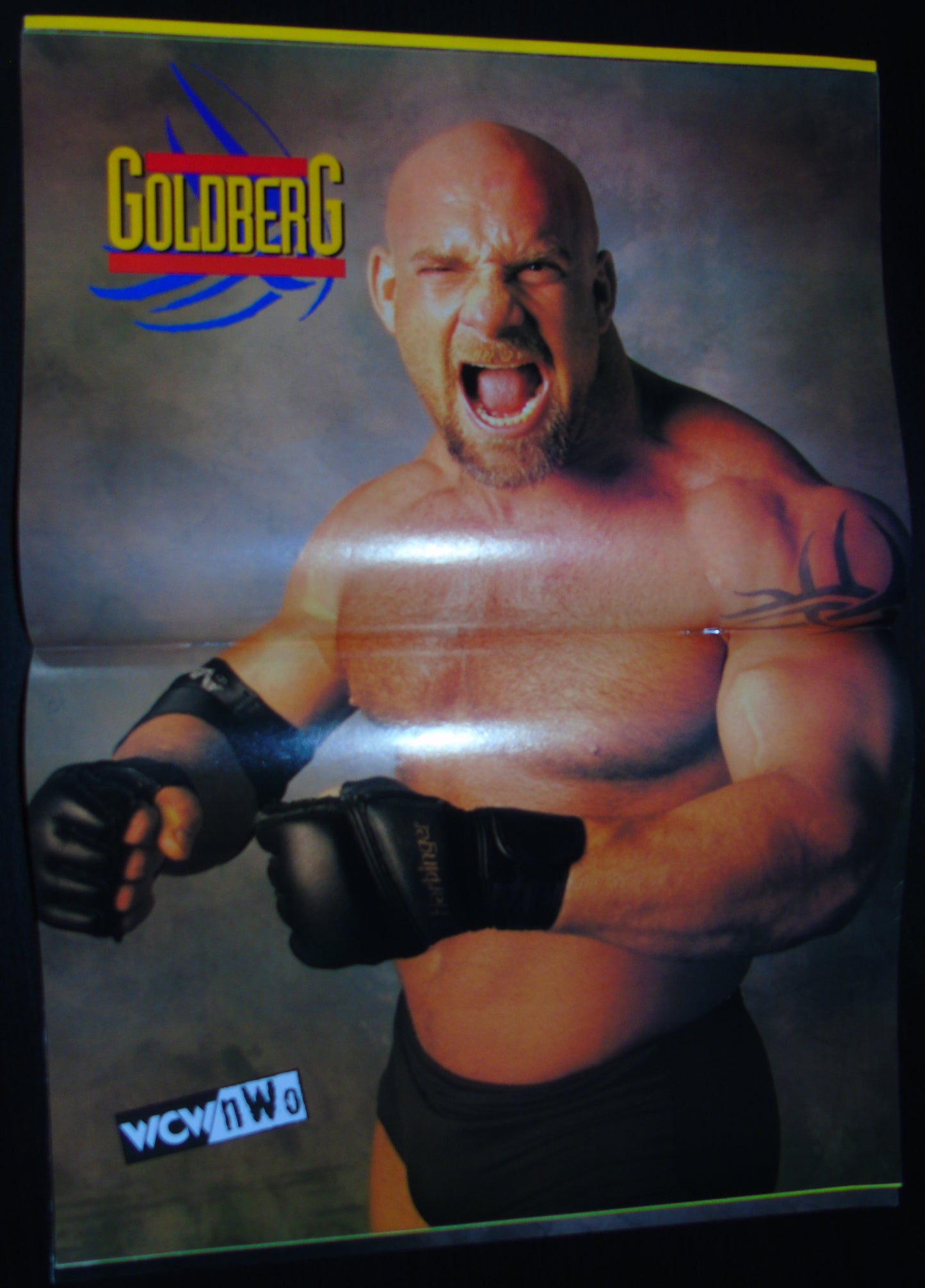 WCW NWO Magazine August 1998 Issue 41