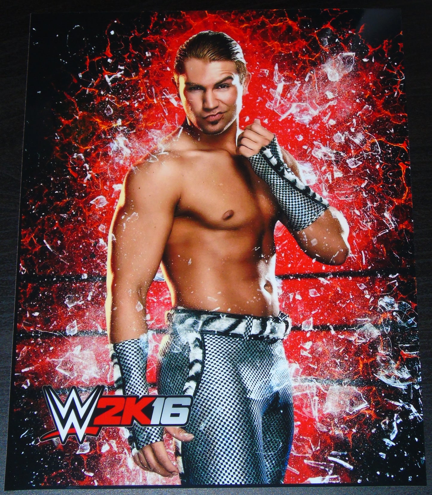 Tyler Breeze WWE 8x10" 2K16 Promo Photo