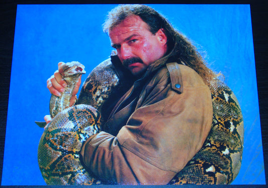 Jake The Snake Roberts WWF/WWE 8x10" Photo