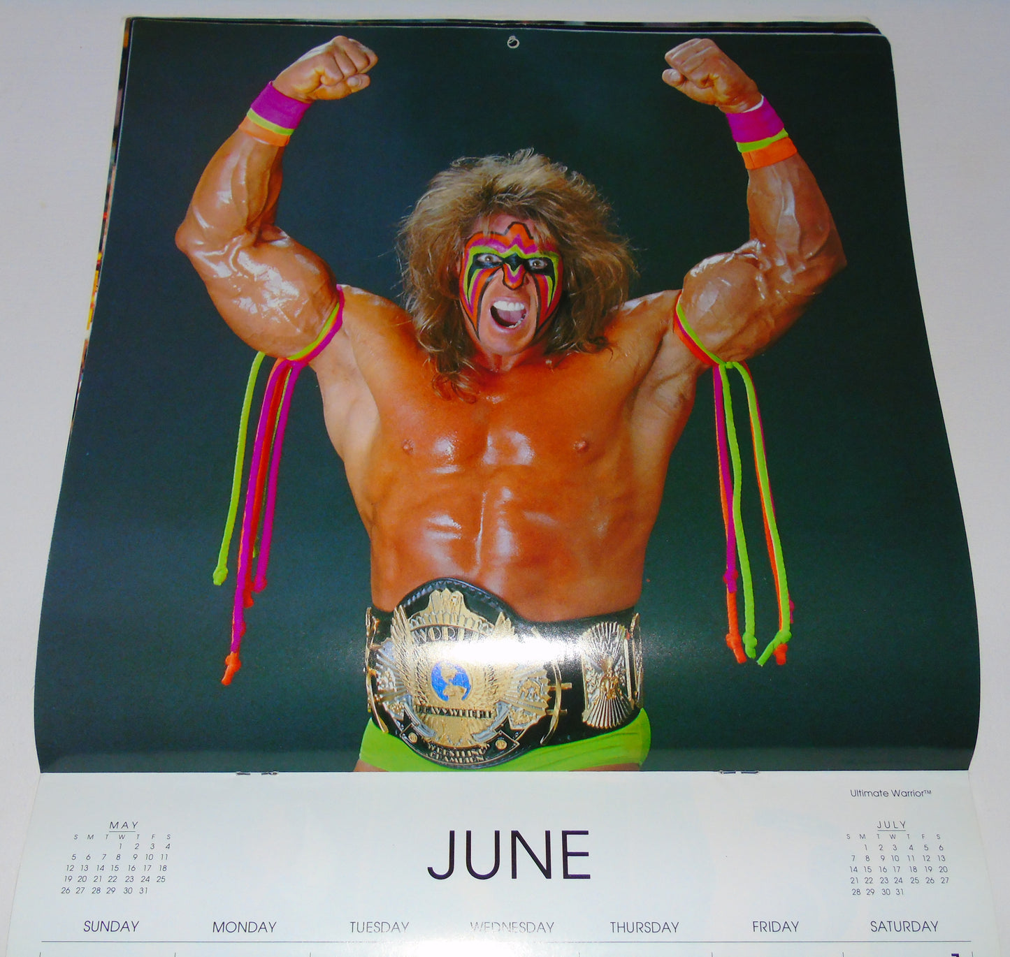 WWF Wrestling 1991 Calendar (days/dates will match year 2030)