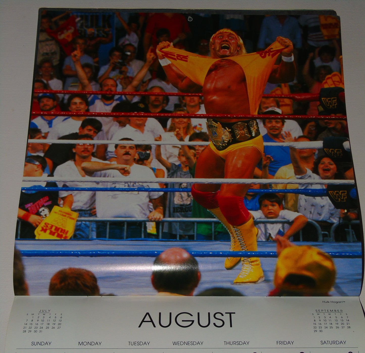 WWF Wrestling 1991 Calendar (days/dates will match year 2030)