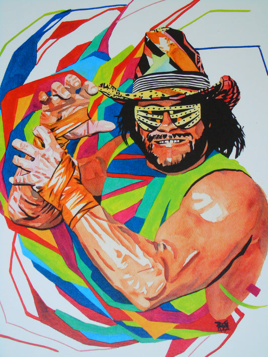 WWF/WWE Macho Man Randy Savage Rob Schamberger Poster