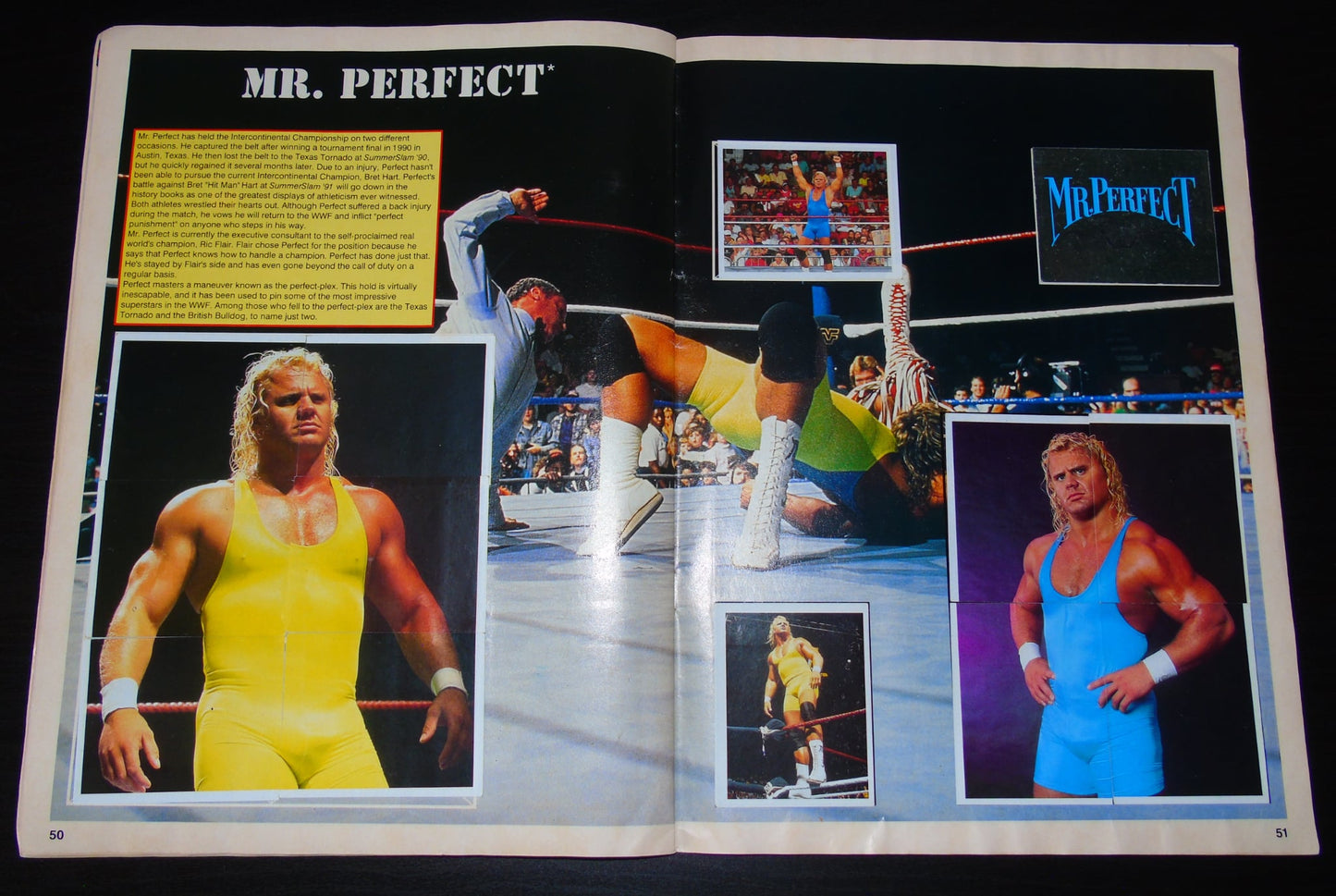 WWF Merlin Sticker Album 1991 Ccomplete
