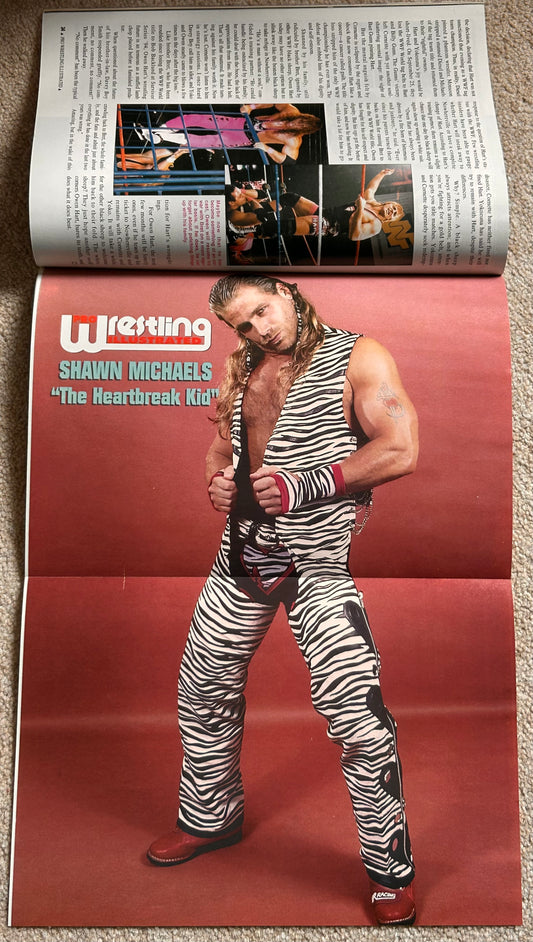 PWI Pro Wrestling Illustrated Magazine February 1996