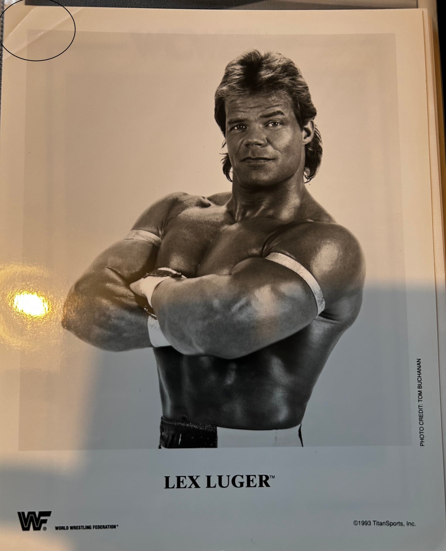 Lex Luger WWF Promo Photo
