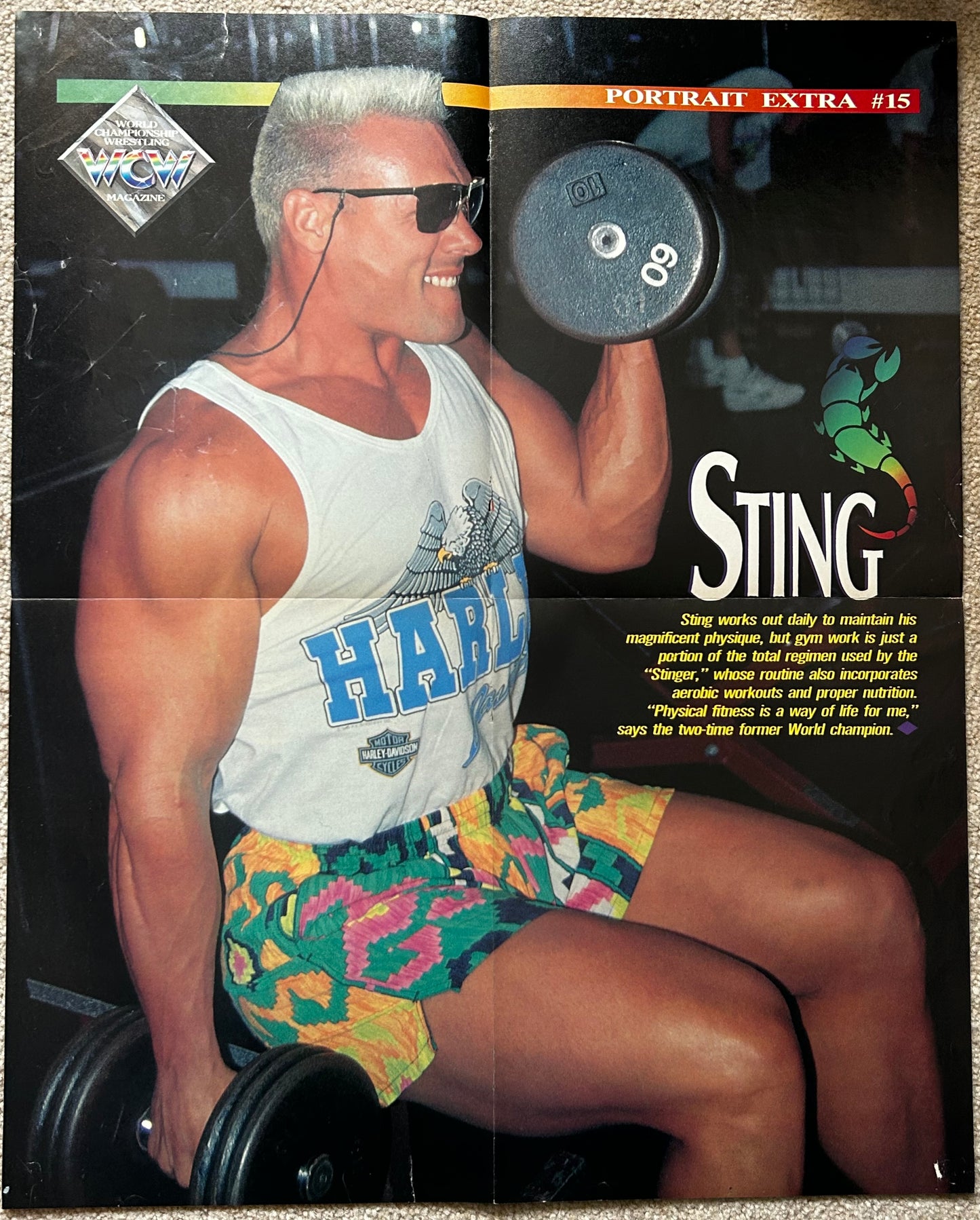 WCW Magazine February 1993