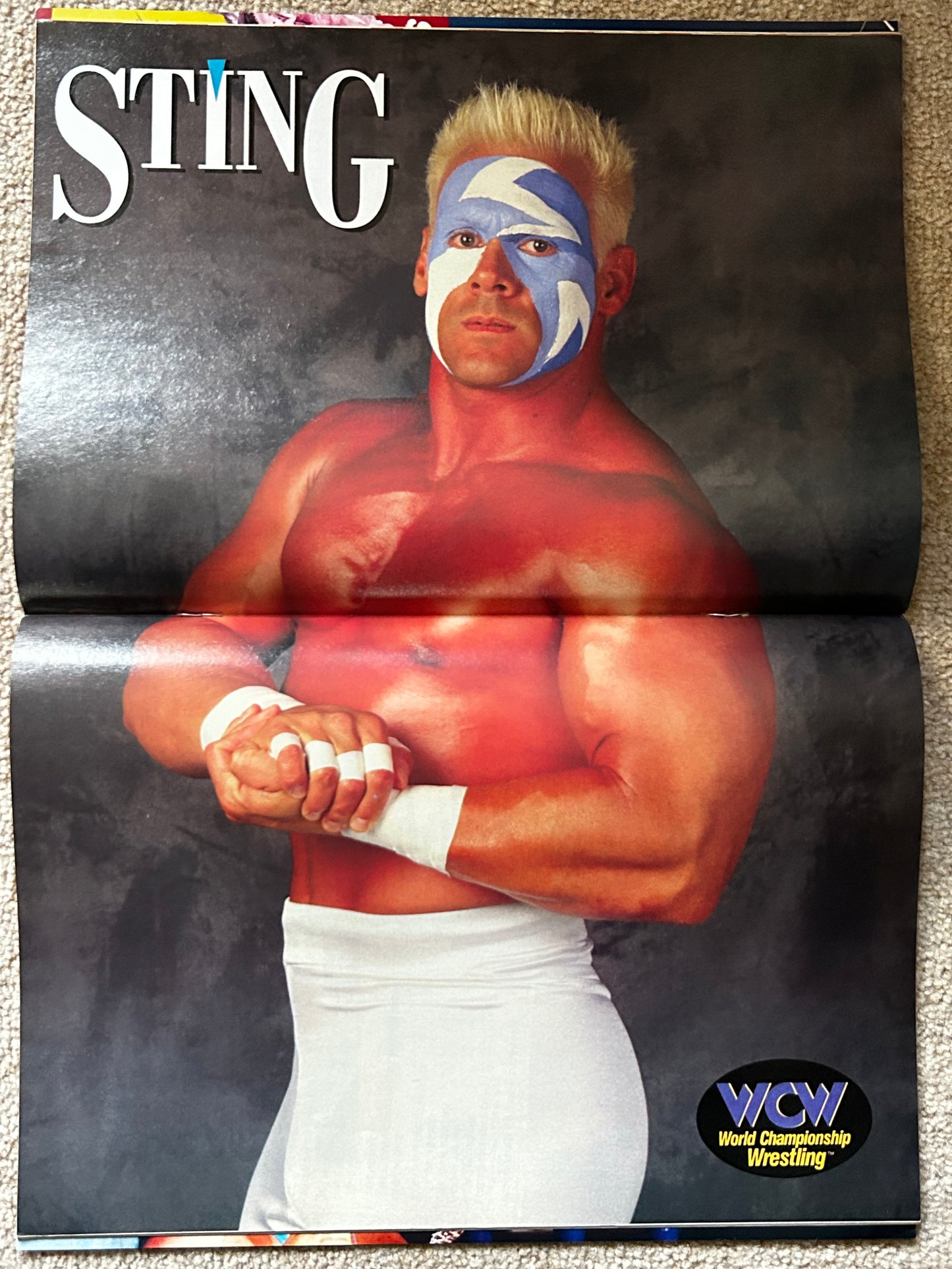 WCW Magazine October 1995 Issue 8