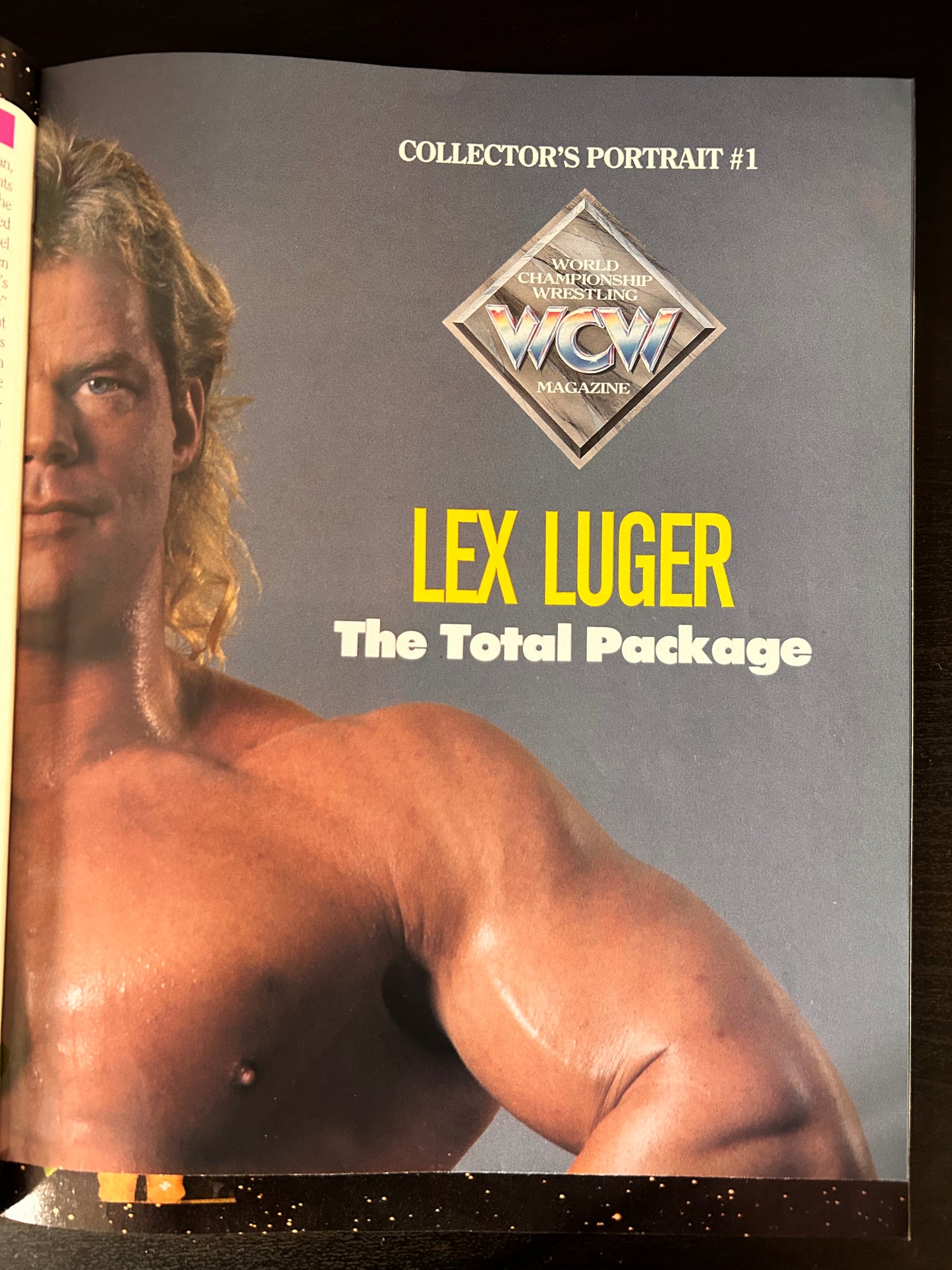 WCW Magazine November 1991 w/Poster