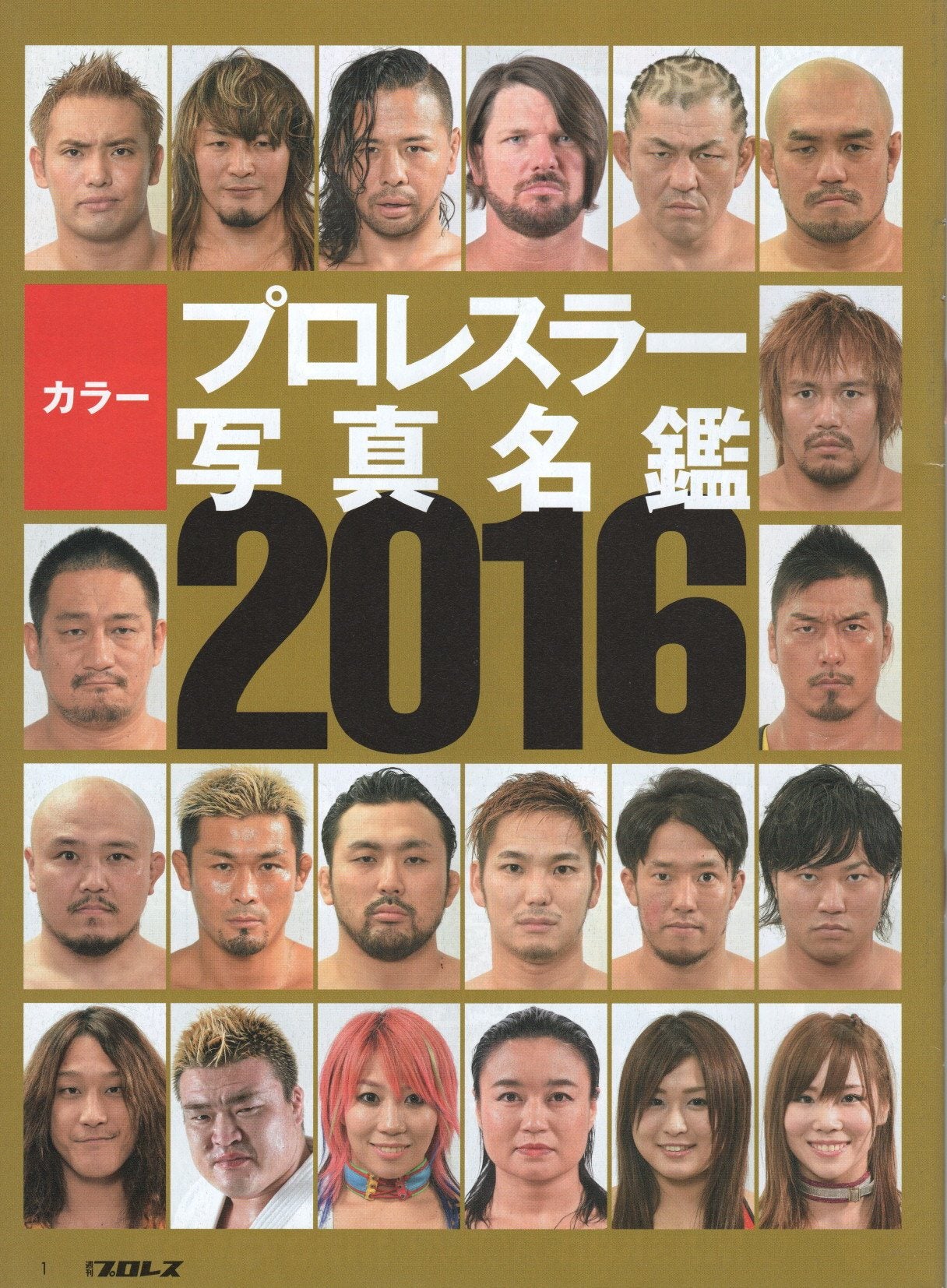 Japanese Professional Wrestler Photo Directory Magazine 2016