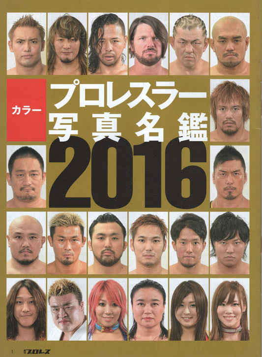 Japanese Professional Wrestler Photo Directory Magazine 2016