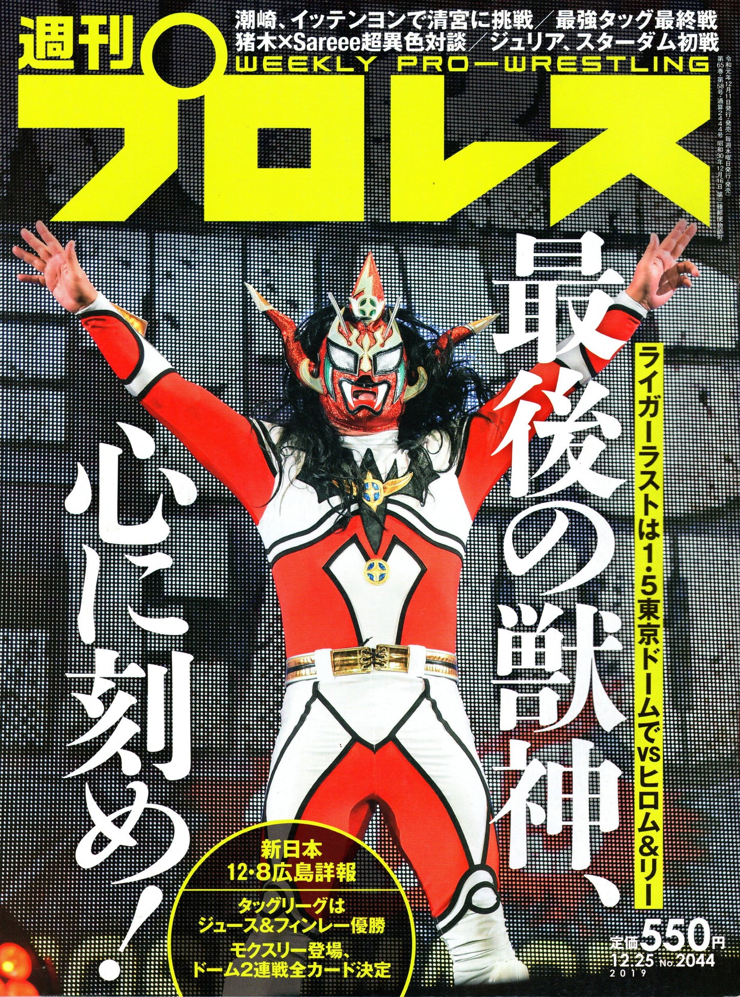 Japanese Professional Wrestling Magazine No.2044 2019