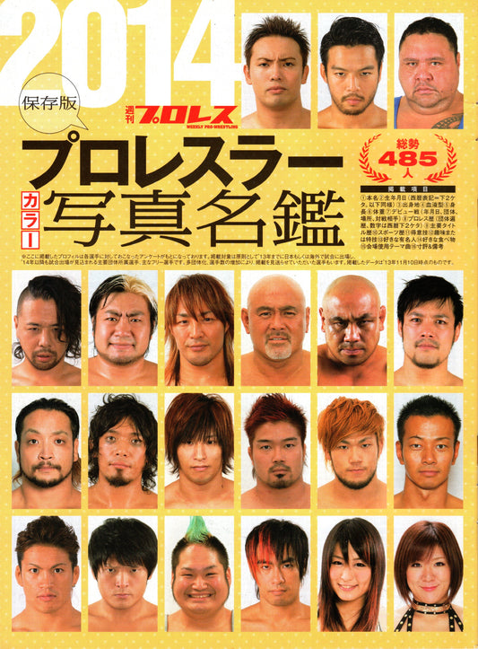 Japanese Professional Wrestling Magazine No.485 2014