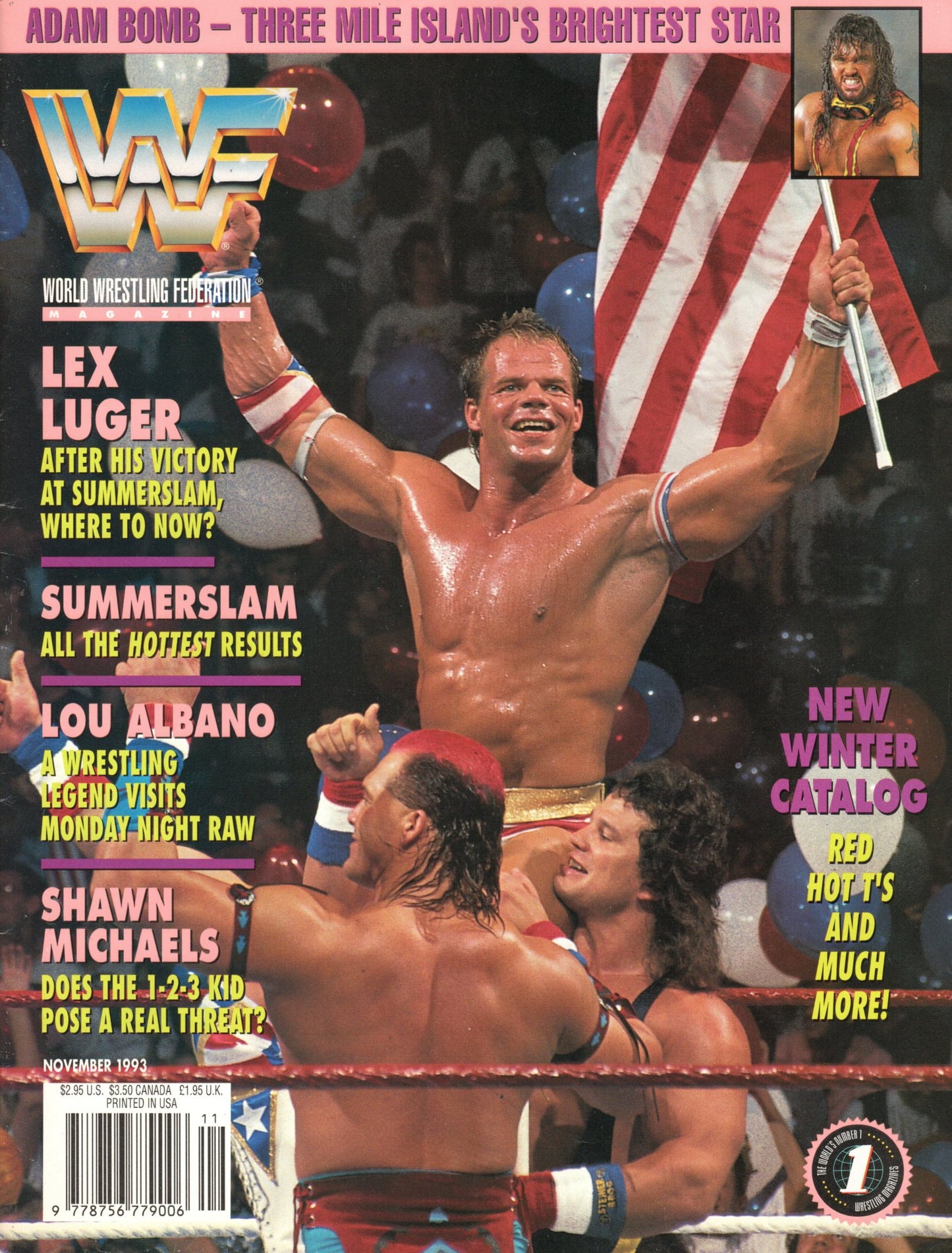 WWF Magazine November 1993