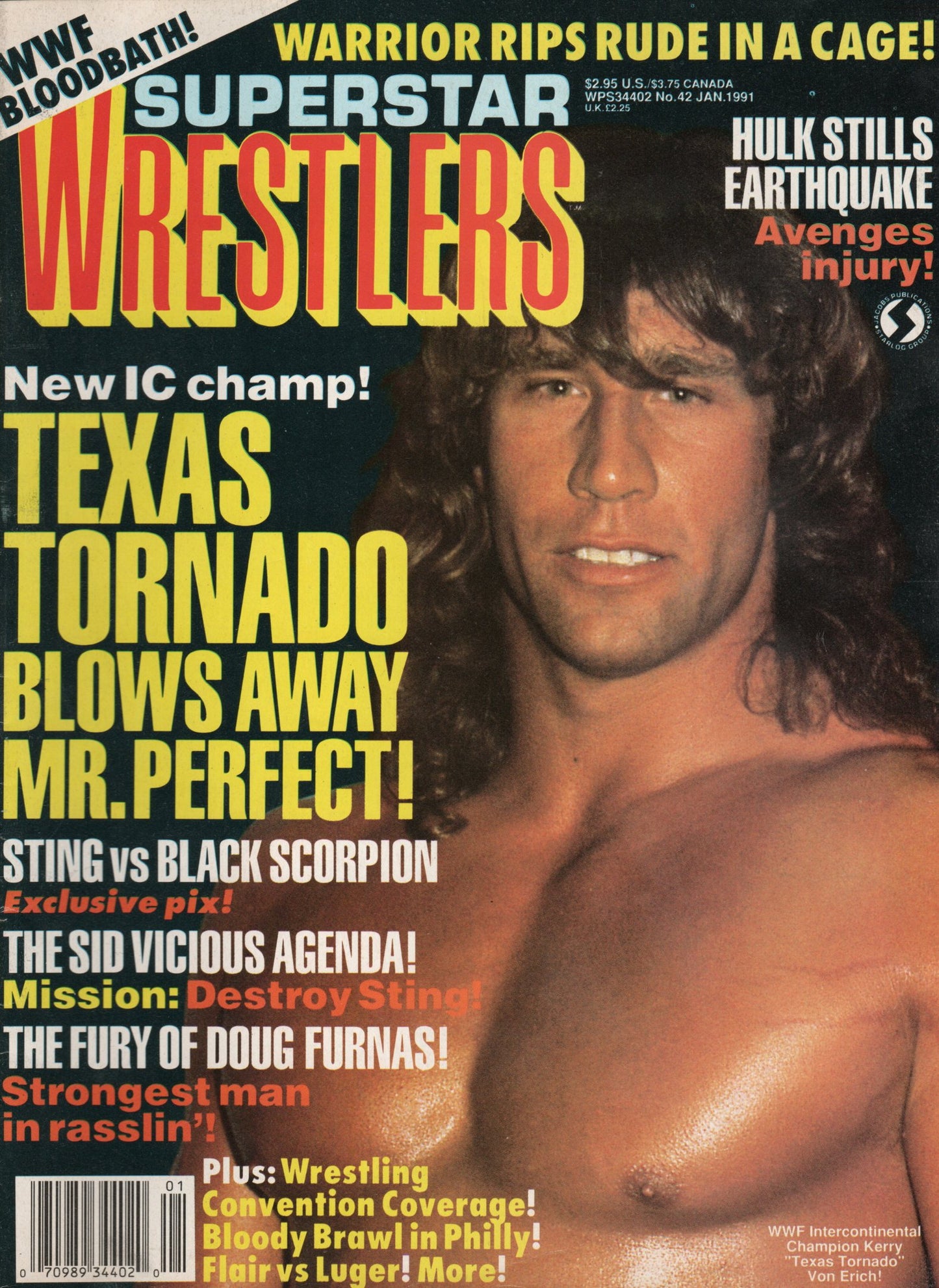 Superstar Wrestlers Magazine January 1991