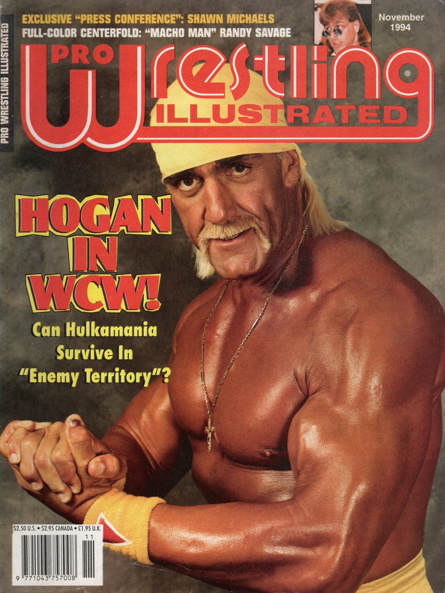 PWI Pro Wrestling Illustrated Magazine November 1994
