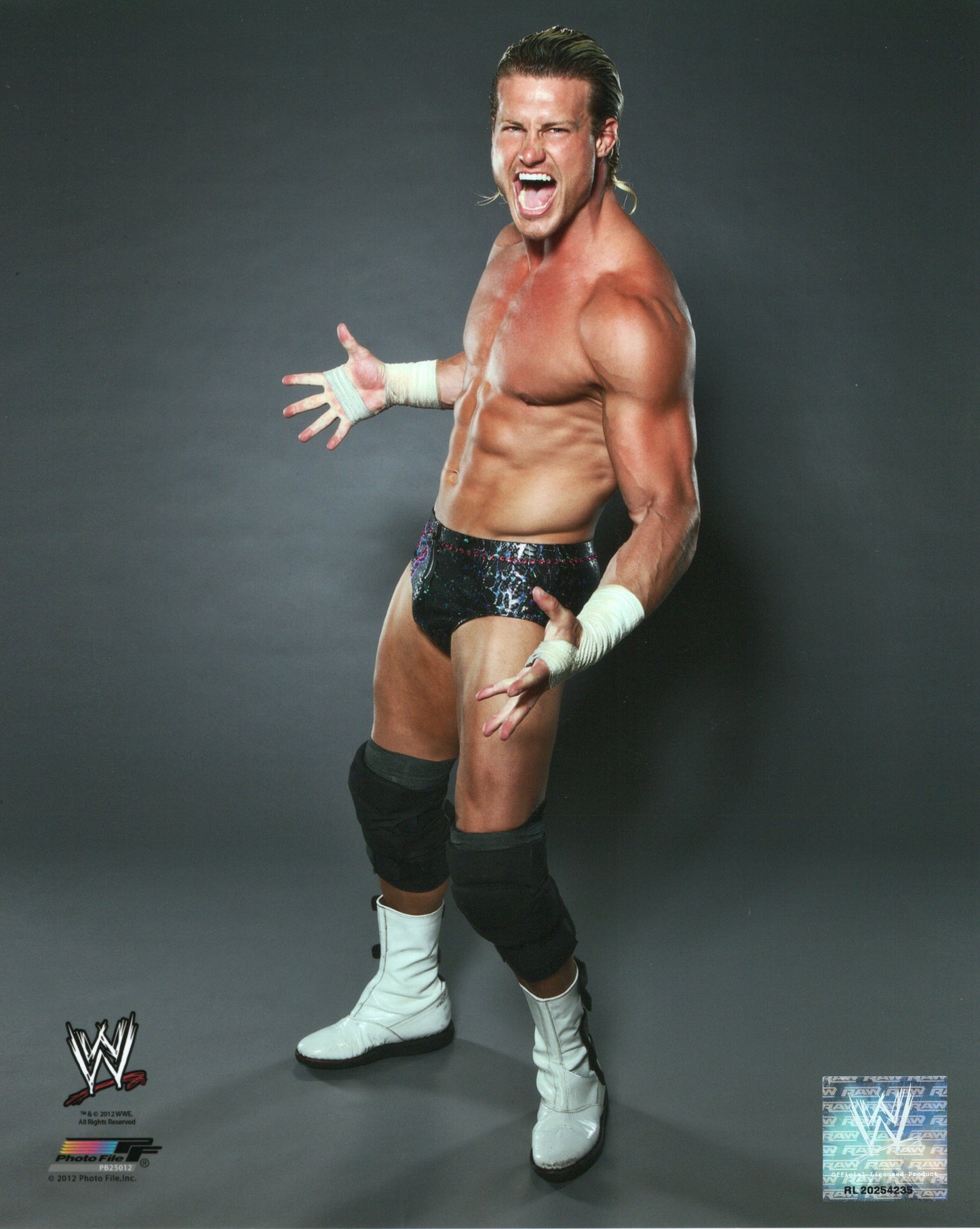 Dolph Ziggler WWE Photofile 8x10" Photo