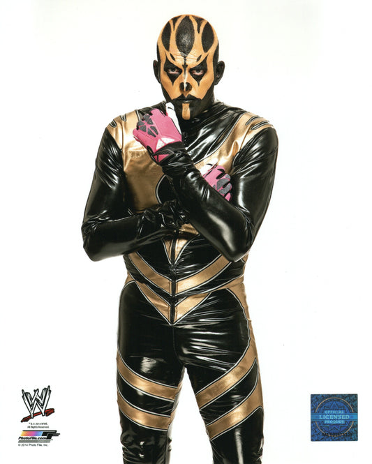 Goldust Dustin Rhodes WWE Photofile 8x10" Photo