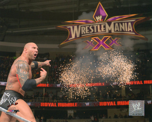 Batista WWE Photofile 8x10" Photo