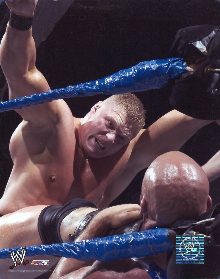 Brock Lesnar WWE Photofile 8x10" Photo