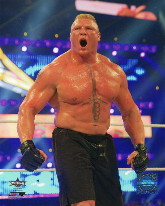 Brock Lesnar WWE Photofile 8x10" Photo