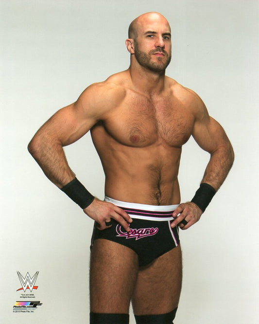 Cesaro Claudio Castagnoli WWE Photofile 8x10" Photo