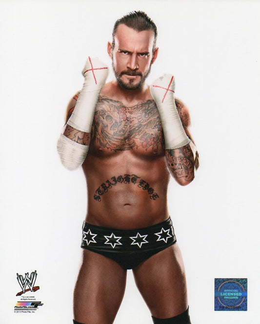 CM Punk WWE Photofile 8x10" Photo