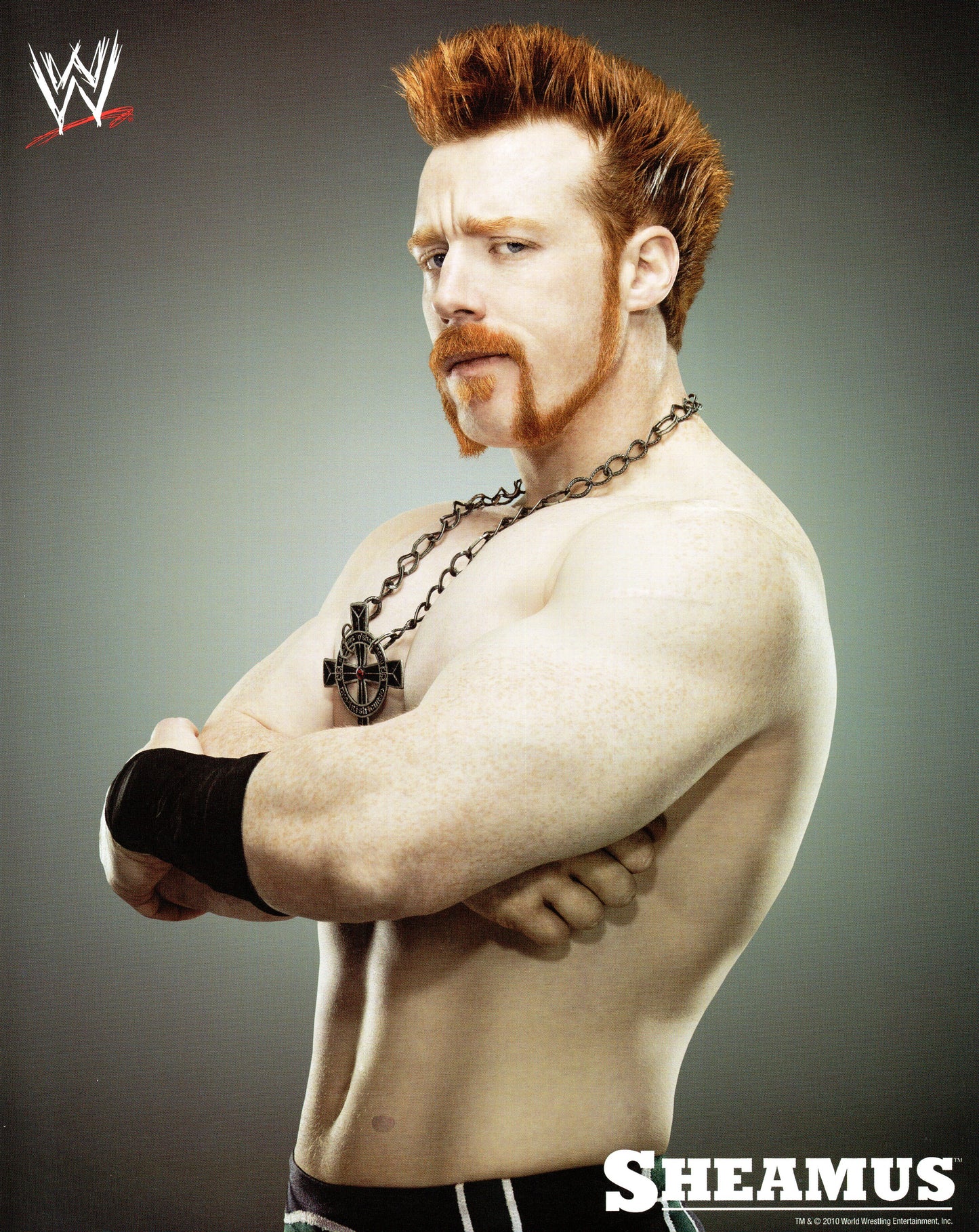 Sheamus WWE Promo Photo