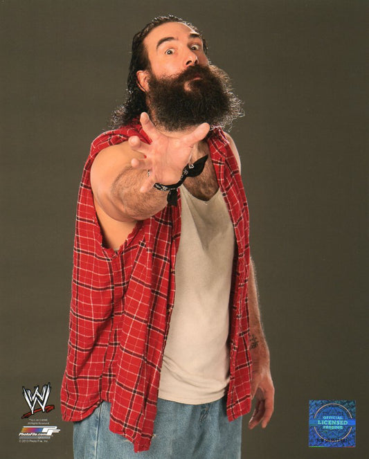 Luke Harper Brodie Lee WWE Photofile 8x10" Photo