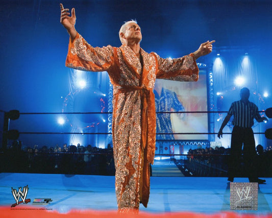 Ric Flair WWE Photofile 8x10" Photo