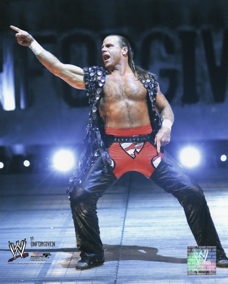 Shawn Michaels WWE Photofile 8x10" Photo