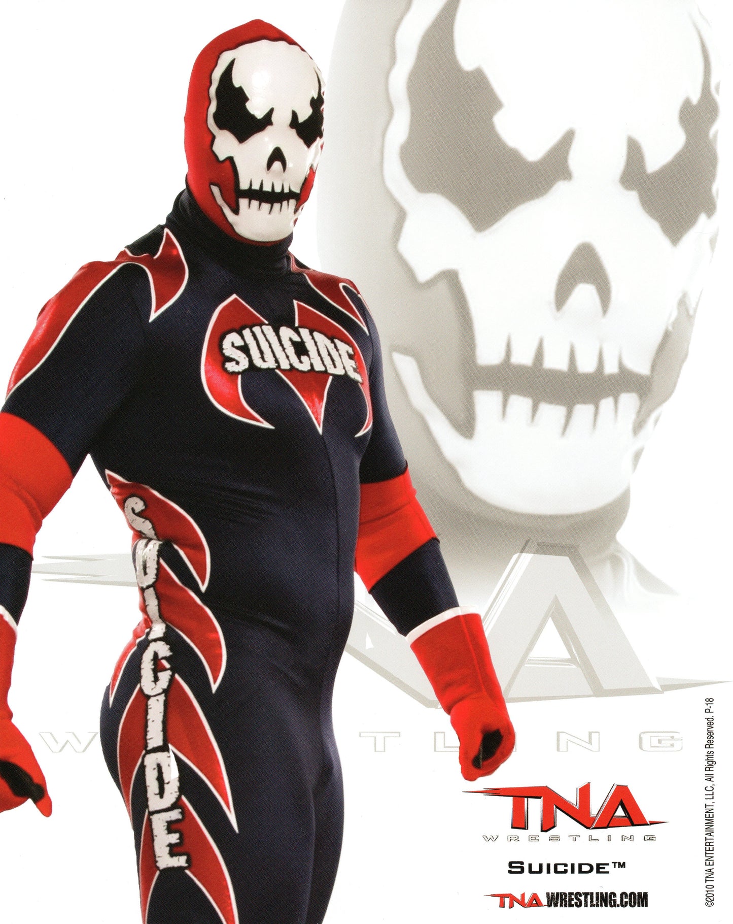 Suicide TNA 8x10" Promo Photo P-18