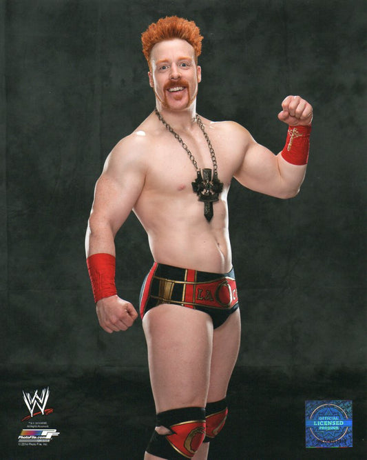 Sheamus WWE Photofile 8x10" Photo