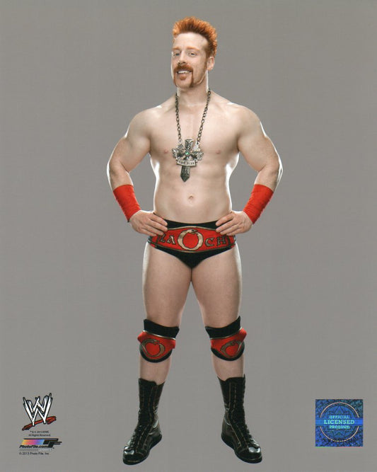 Sheamus WWE Photofile 8x10" Photo