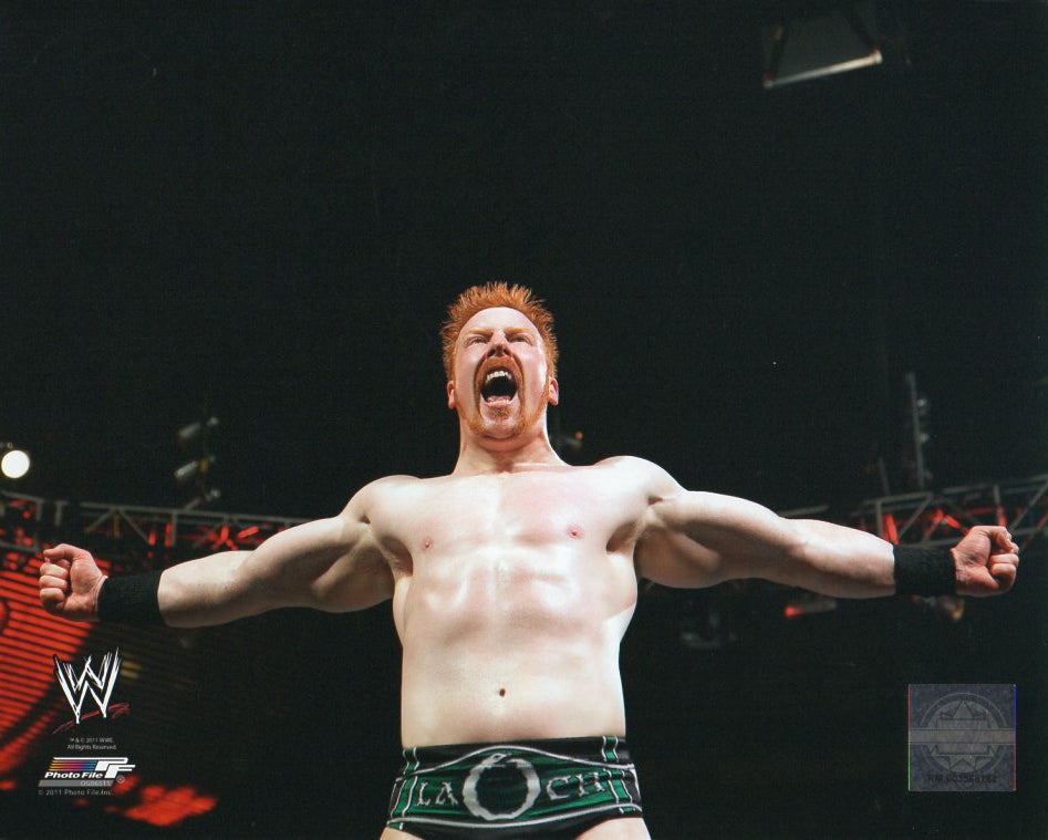 Sheamus WWE Photofile 8x10" Photo