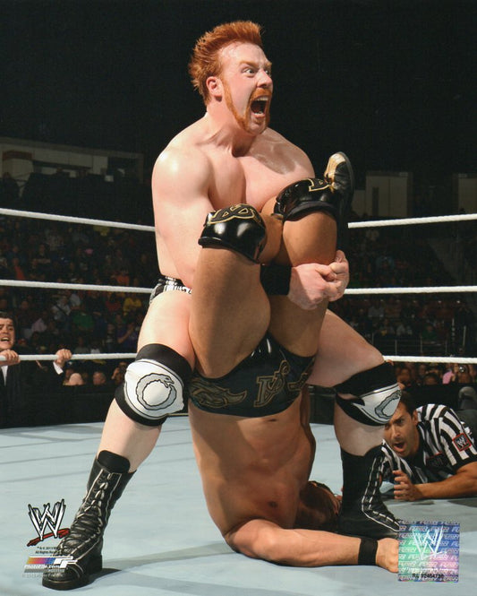 Sheamus WWE Photofile 8x10" Photo