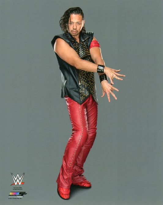 Shinsuke Nakamura WWE Photofile 8x10" Photo