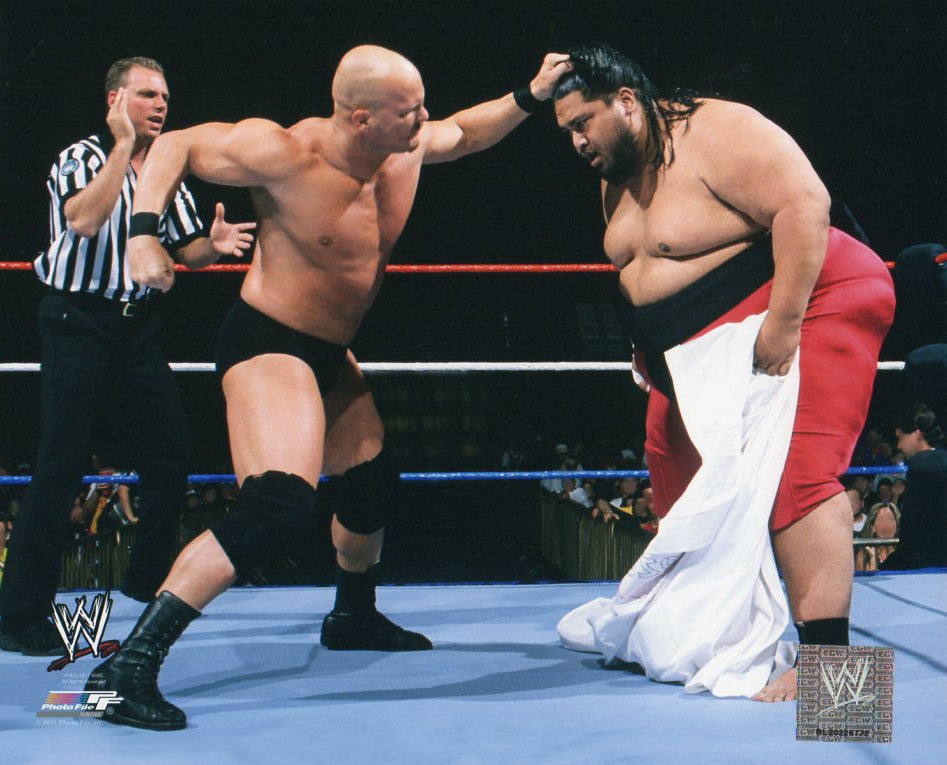 Stone Cold Stomp Stone Cold Steve Austin WWE Photofile 8x10