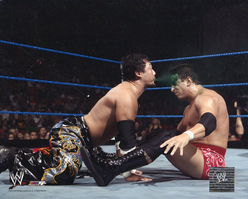 Tajiri WWE Photofile 8x10" Photo