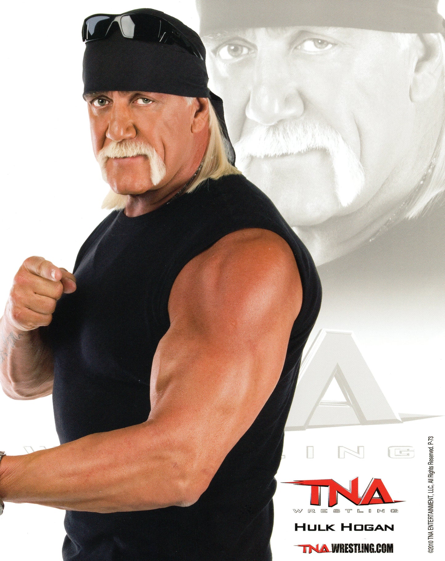 Hulk Hogan TNA 8x10" Promo Photo P-73