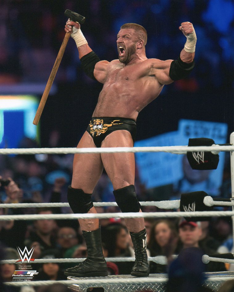 Triple H WWE Photofile 8x10" Photo