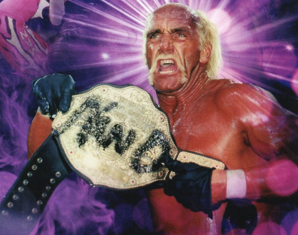 Hulk Hogan WCW/NWO Photo