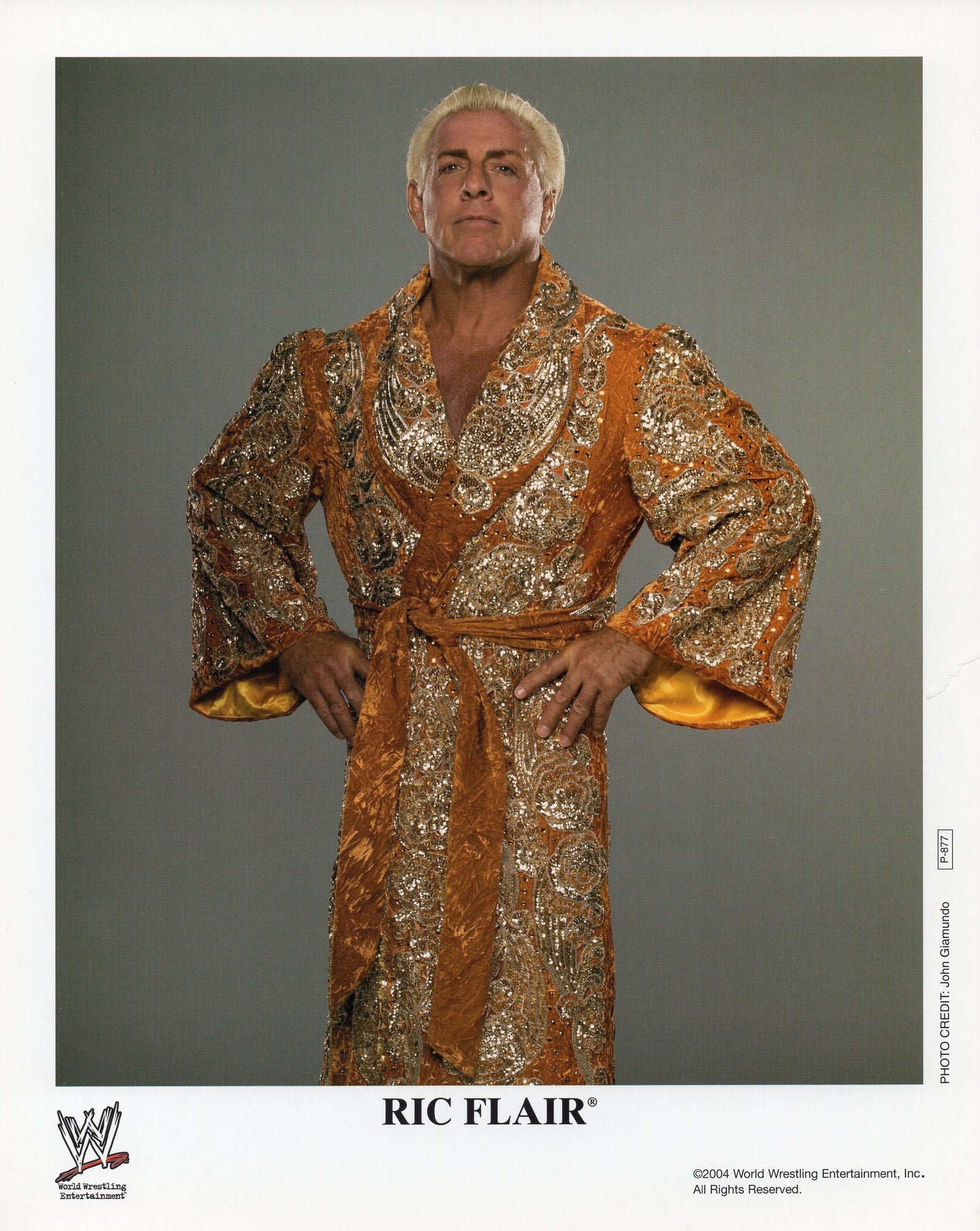 Ric Flair WWE Promo Photo