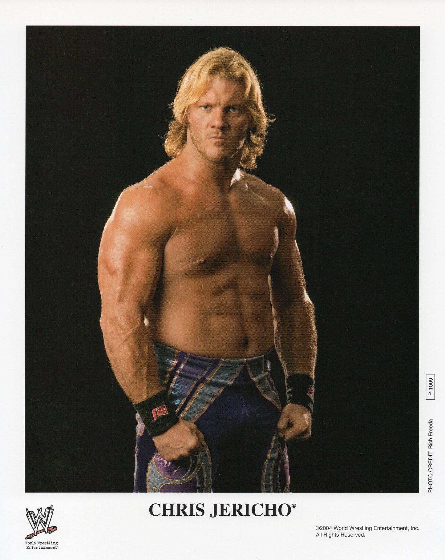 Chris Jericho WWE Promo Photo