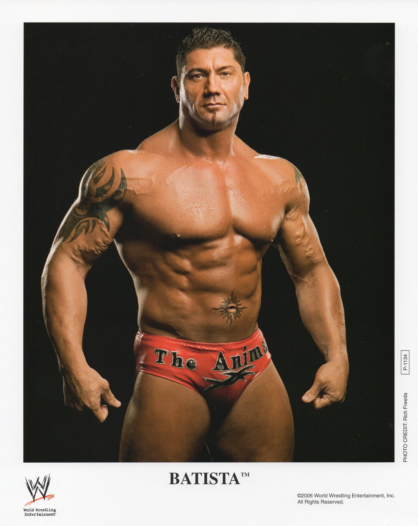 Batista WWE Promo Photo